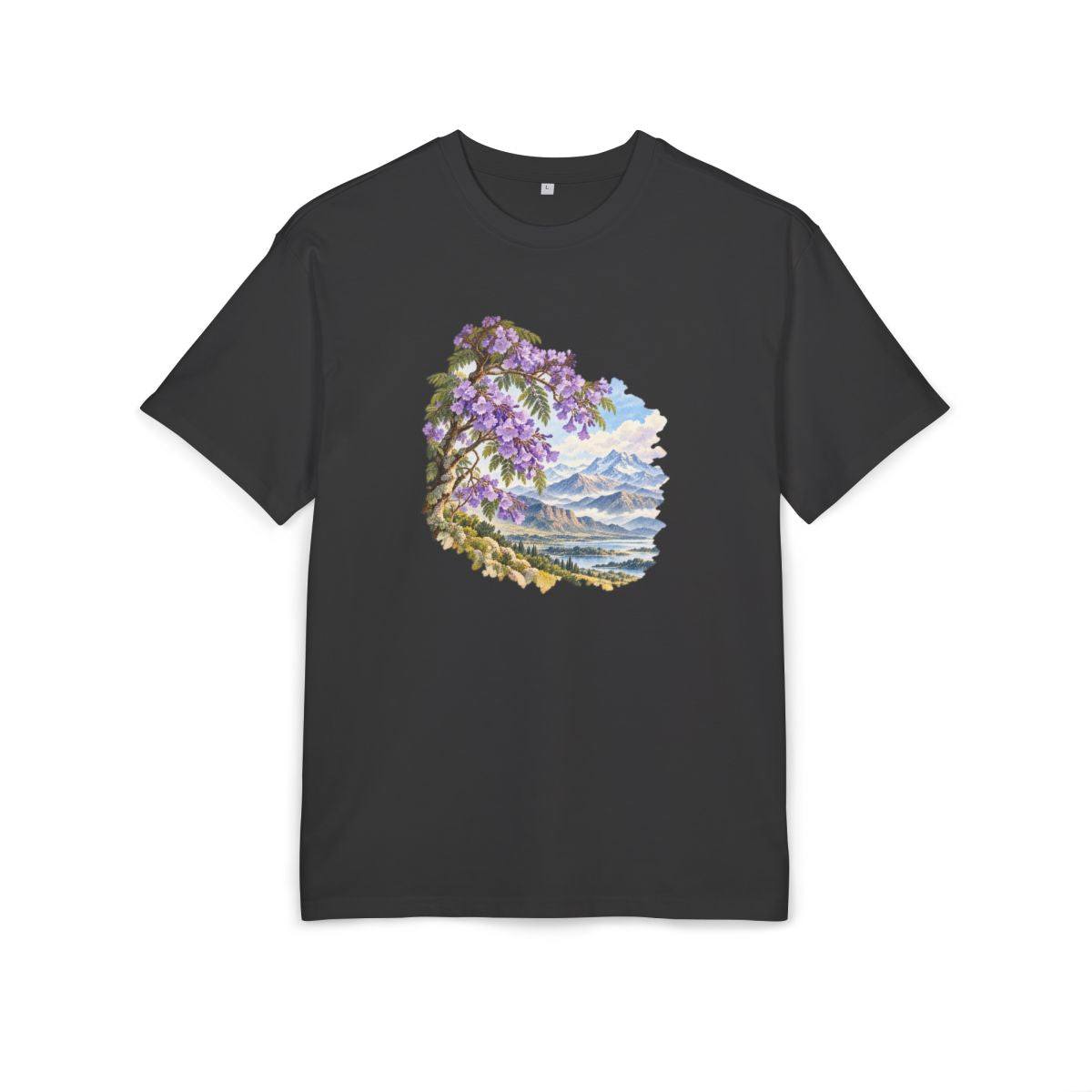 Argentina Heritage Oversized T-Shirt front in Black; original Printify mockup