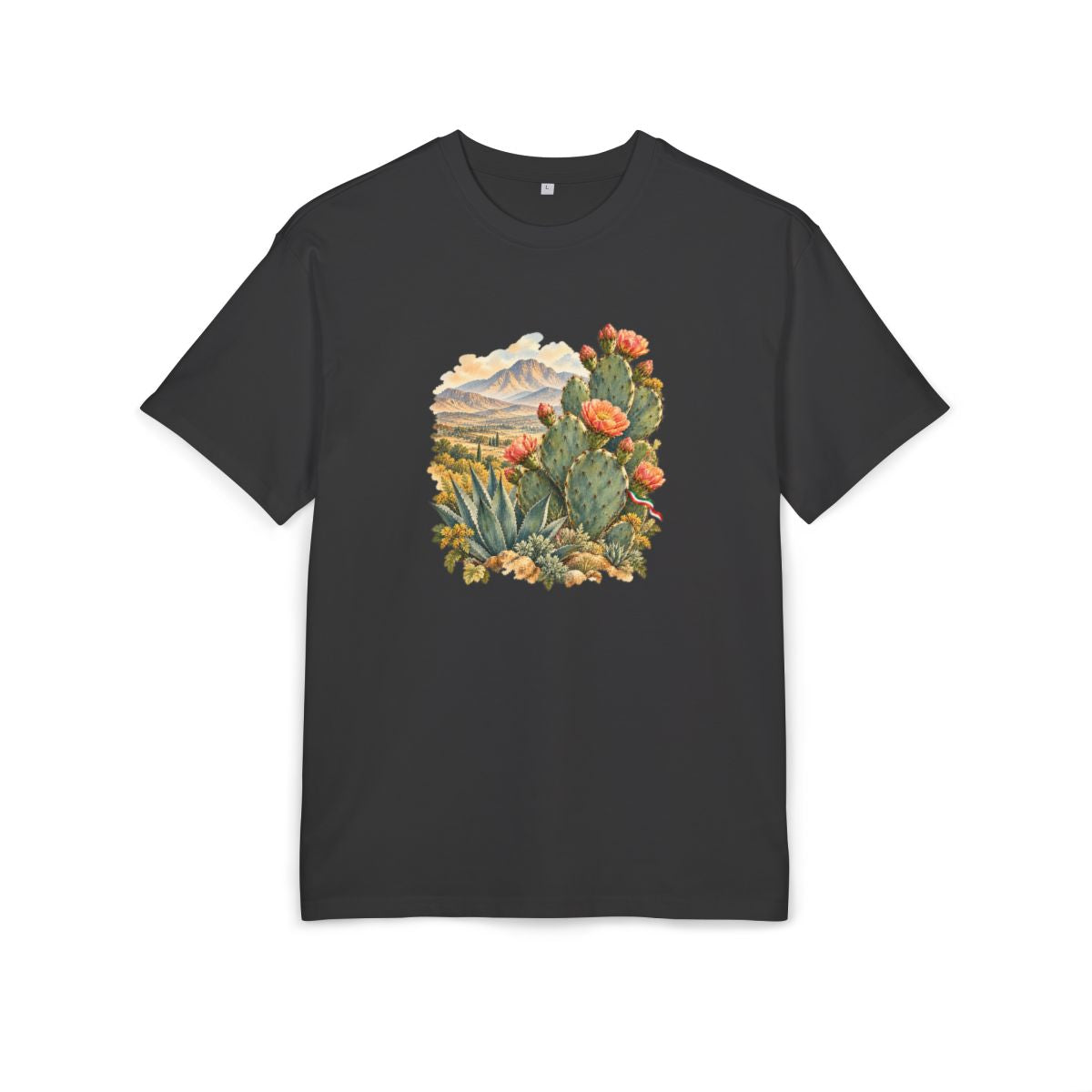 Mexico Heritage Oversized T-Shirt front in Black; original Printify mockup