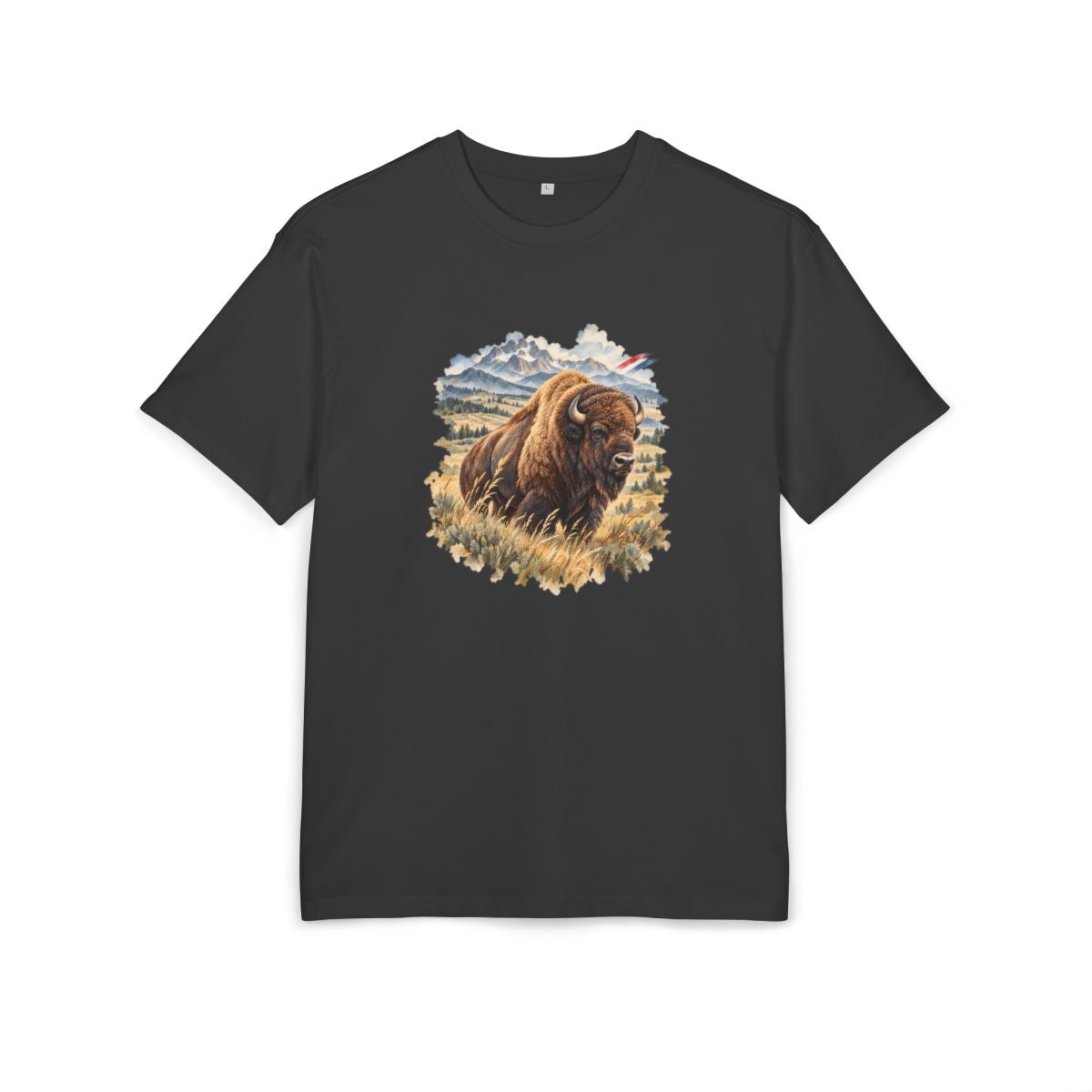United States Heritage Oversized T-Shirt front in Black; original Printify mockup